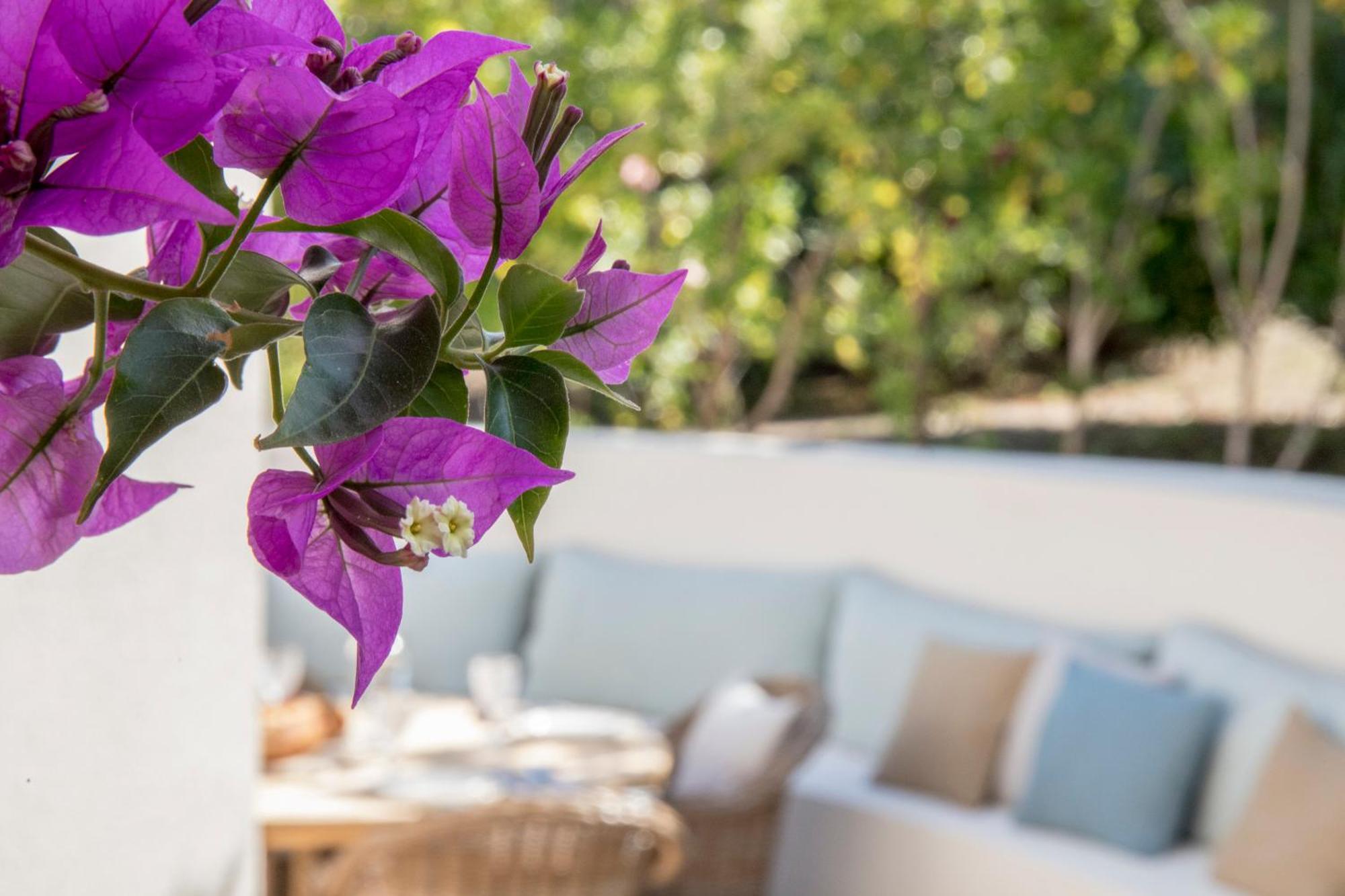 Boutique Hotel Chateau Rouher プロプリアノ エクステリア 写真